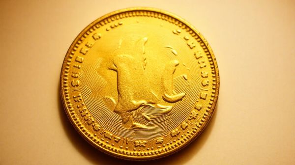 Découvrez la valeur cachée de la pièce Napoléon en or